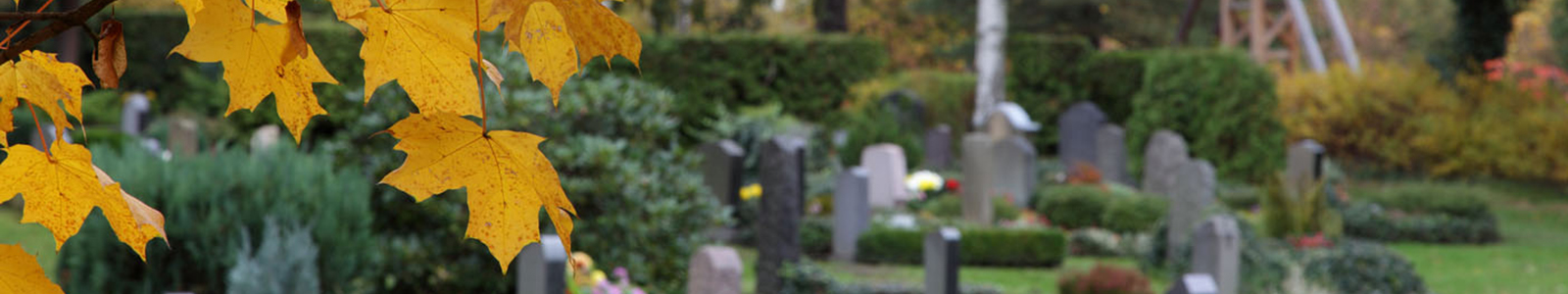 Friedhofsverwaltung Kleinolbersgrün